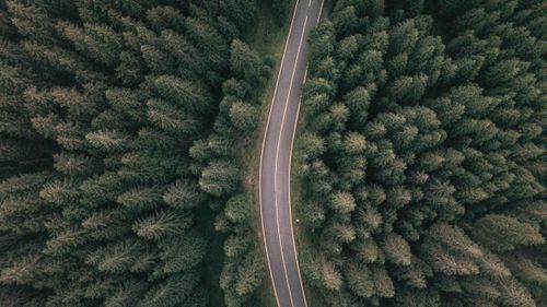 Roumanie — carnet de voyage, photographie 8