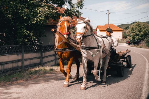 Roumanie — carnet de voyage, photographie 12
