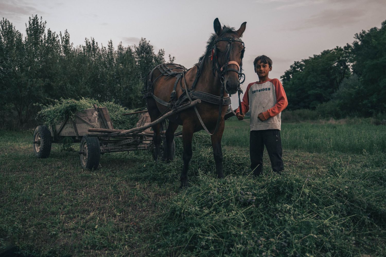 Făgăraș — Quelques minutes avant le coucher du soleil