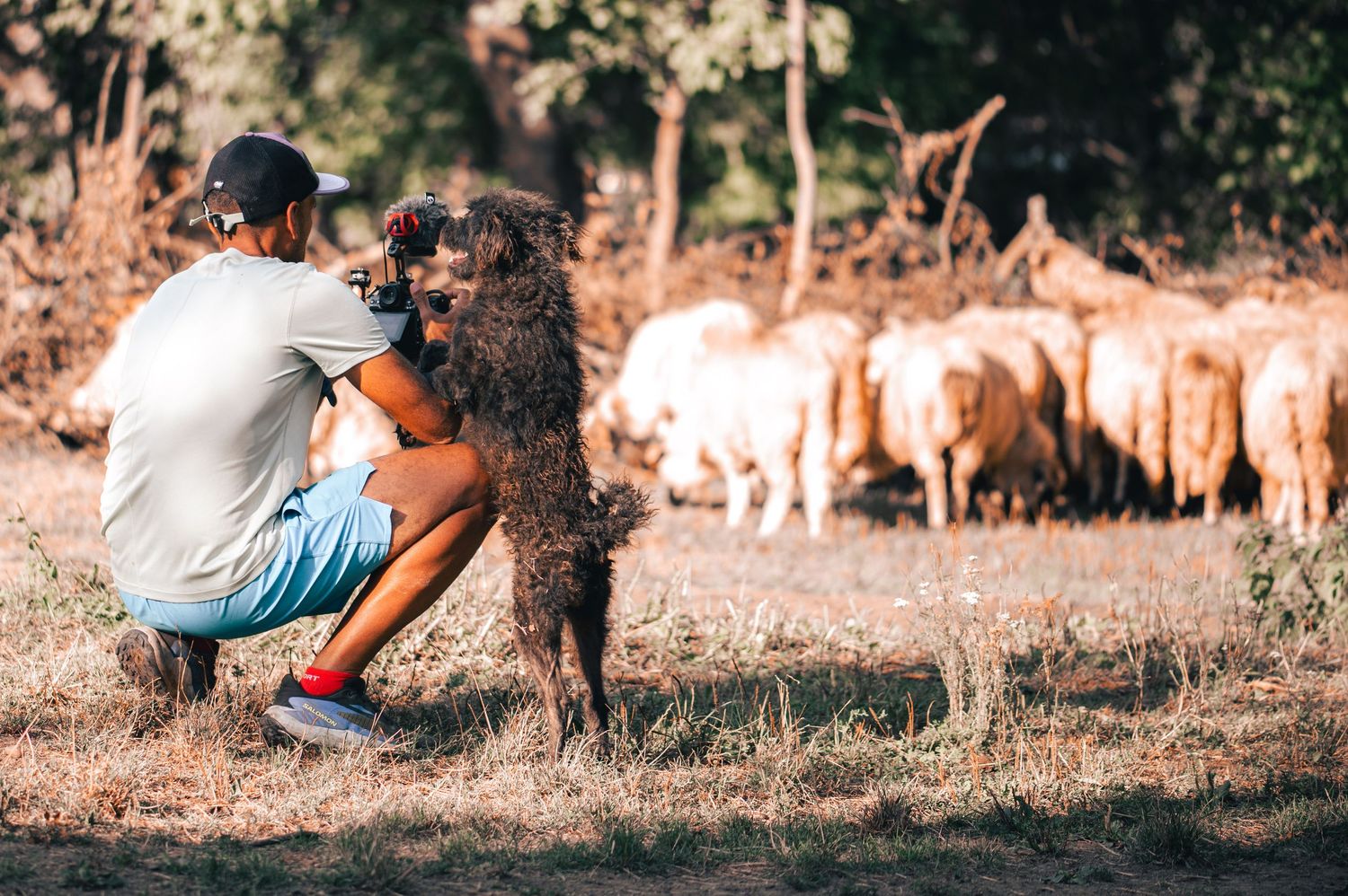 Peșteana — À la rencontre d’un berger
